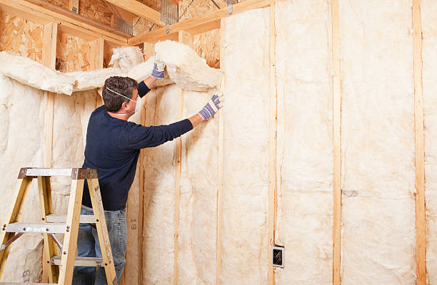 Best Radiant Barrier Insulation  in Eudora, KS